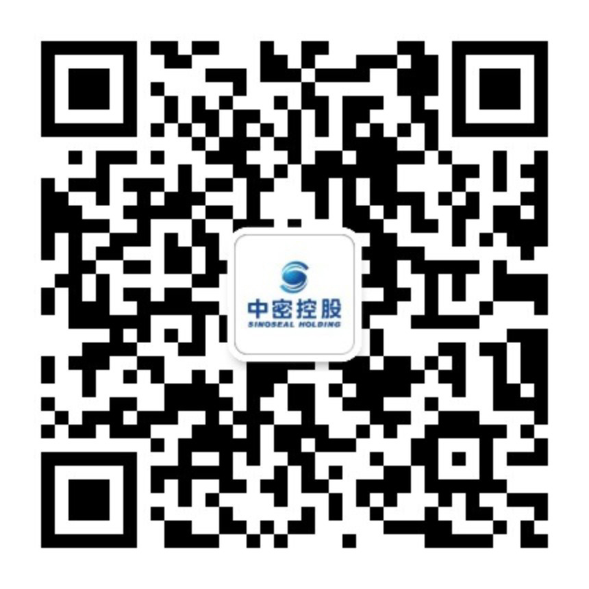 中密控股股份有限公司